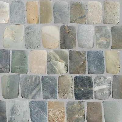 Canine Mix Natural Stone Mosaic Wall & Floor Tile ($17.01/SqFt) • $85.07