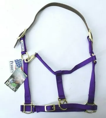 Perris 150HPU Purple Premium Nylon Safety Horse Adjustable Halter Horse Size • $34.99