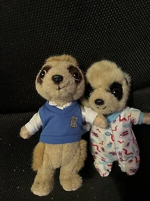 Compare The Market Meerkats • £8.50