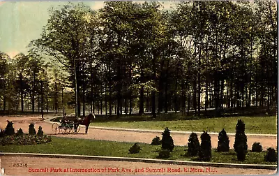 Lot D33:  Postcard :  El Mora Nj Summit Park Buggy And Horse C1910 • $5.99