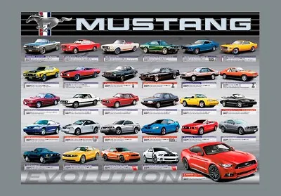 FORD MUSTANG   EVOLUTION 13  X 19    Photo Print  Poster • $15.99