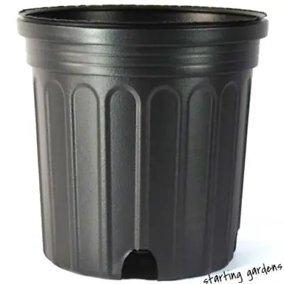 2 Gallon Nursery Pot (Qty. 10) Black Trade 2 Gallon Greenhouse Containers • $23.99