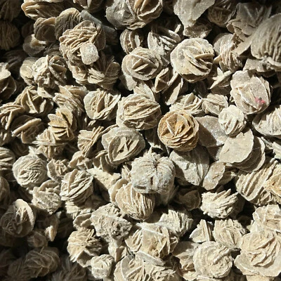 $67 • Buy Top Rare DESERT ROSE SELENITE Specimen Crystal Stone Cluster 1000g