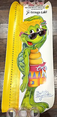 GEAUGA LAKE Ohio Theme Park Turtle Beach Admission Poster Butch Hightide • $165