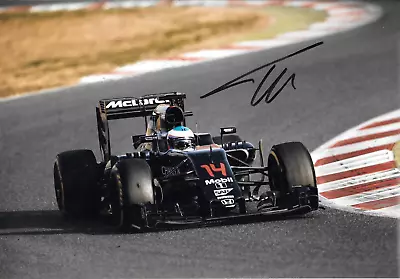 Fernando Alonso SIGNED 12x8  McLaren Honda MP4/31  Grand Prix Season 2016 • $37.29