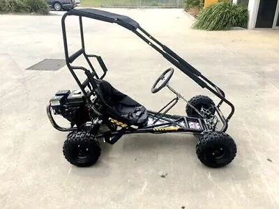 200cc 6.5HP Go Kart Dry Clutch Dune Buggy ATV Quad 4 Stroke Top Roll Cage • $1100
