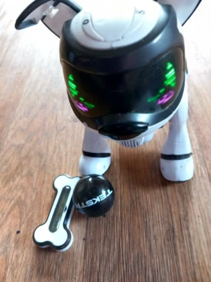 £10 • Buy Texster Electronic/Robotic Dog