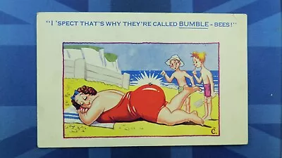 £6.80 • Buy Saucy Comic Postcard 1954 BBW Beach Bathing Beauty Large Bottom BUMBLE BEE