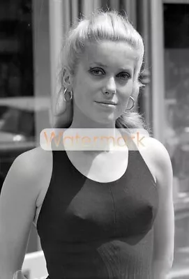 CATHERINE DENEUVE Sexy PERKY POKIES In 1965 ** Pro Pigment Photo (8.5 X11 ) • $24.50