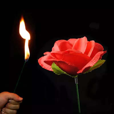 Flame To Rose Appearing Magic Flower Magic Street Magic Easy Magic Tricks • £4.99