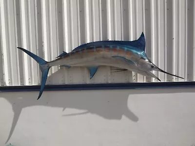 89  Blue Marlin Two Sided Fish Mount Replica - 2 Week Production Time • $890