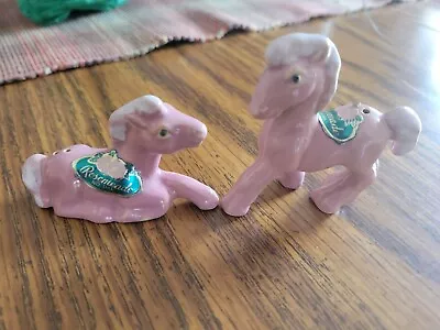 ROSEMEADE Pink Pony Salt And Pepper Set • $90