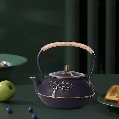 Cast Iron Teapot Japanese Pattern Tea Maker Heat Saving For Gas Loose Tea • $82.31