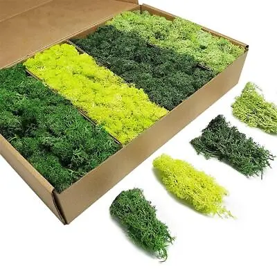 100/200g Artificial Green Plants Eternal Life Moss Grass Home Living Room Garden • $8.99