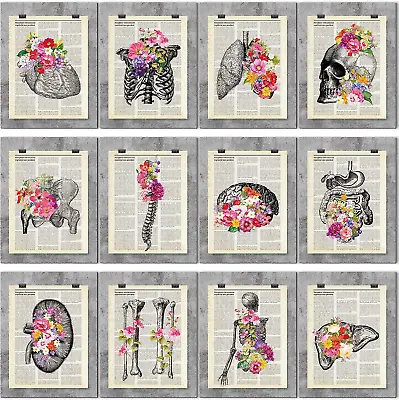 12 Pieces Medical Dictionary Art Set 8 X 10 Inch Anatomy Decor Vintage Anatomica • $15.28