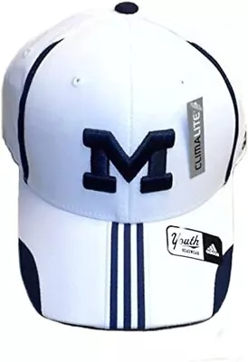 Michigan Wolverines Youth Pro Shape Flex Hat • $14