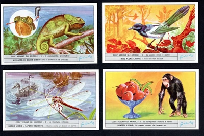 £10 • Buy Brooke Bond Liebig (Italy) Five Sets Of Six Cards