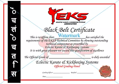 Martial Arts Black Belt Certificate & Certification • $99