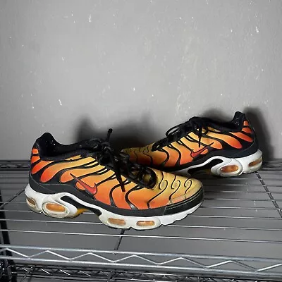 Size 10.5 - Nike Air Max Plus Sunset • $22.72