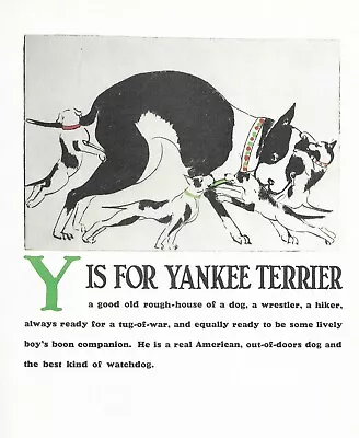  Y  Is For Yankee Terrier - CUSTOM MATTED - Vintage Dog Art Print - Clara Tice • $15