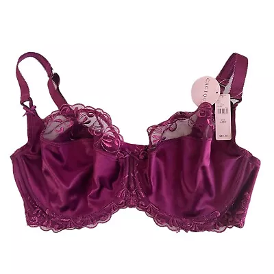 Cacique Women's Unlined Balconette Bra 42DD Purple Pink Sheer Underwire Lace • $19.99