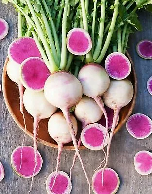 Radish Watermelon Red Meat RARE Variety 50 Seeds Vegetable Fruit Garden Plant UK • £1.95