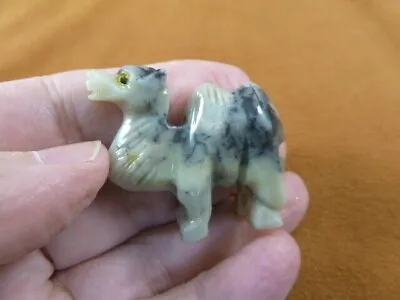 Y-CAM-27 Gray CAMEL Camels Desert SOAPSTONE FIGURINE Gemstone Carving Dromedary • £8.54