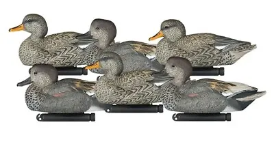 Dakota Decoys Dakota Decoy X-Treme Gadwalls 6 Pack • $99.99