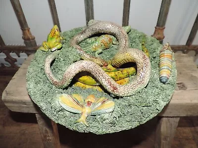 Rare Antique Palissy Majolica Snake/Toad/Lizard/Insects Wall Plate Jose A Cunha • £480