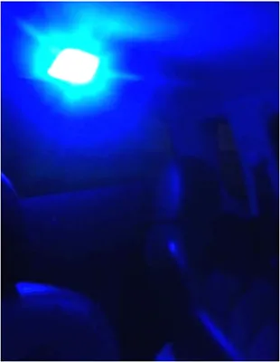 Blue LED Interior Dome Light For Holden Commodore VL VN VP VR VS VX XT VY VZ • $8.99