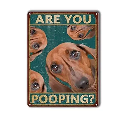 Retro Tin Sign Retro Iron Painting Dachshund Are You Pooping Restroom Bathroom W • $12.88