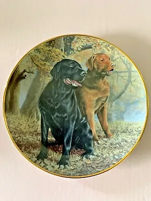£9.99 • Buy Labrador Plate Lifelong Companions Nigel Hemming Franklin Mint Perfect