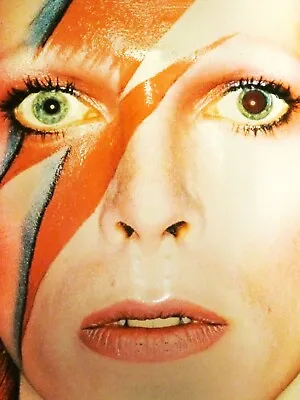 NEW David Bowie Ziggy Stardust Print Poster Canvas FREE SHIPPING • $18.16