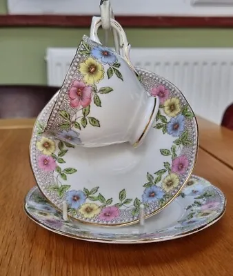 Early Vintage Salisbury China Trio Tea Cup Saucer & Plate STANHOPE Design 2614 • £29.99