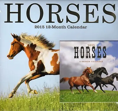 Horses 12 Month 2015 Calendar With 12 Month Mini Calendar  • $11.99