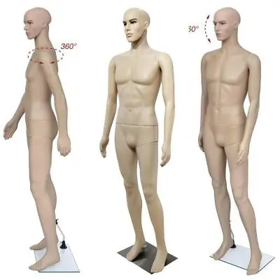 Male Mannequin Full Body Realistic Shop Display Head Turns Form W/ Base US • $79.99