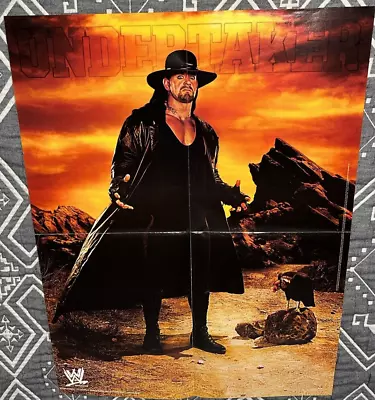 WWE THE UNDERTAKER * Single Sided 16  X 21  Wrestling Poster WWF • $15.75