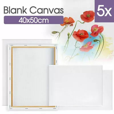 $24.99 • Buy 5x Artist Blank Stretched Canvas Canvases Art Large White Range Oil Acrylic Wood