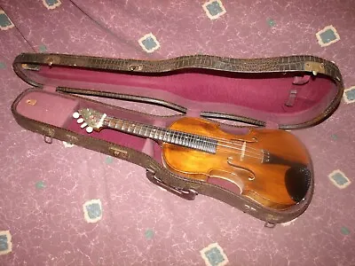 Rare Ca 1915 Braun & Hauser Munchen Germany Fretted Violin Zither Hermann Hauser • $1899