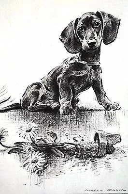 Morgan Dennis 1946 DACHSHUND In TROUBLE BROKEN FLOWER POT Vintage Dog Print • $25