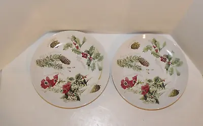 2 Vintage Marjolein Bastin Botanical Plate Christmas Anemone Holy Pine Cones '95 • $25