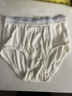 $6 • Buy Vintage Fruit Double Blue Line Underwear 12 Factory Stitch Defect. 1983 Brief