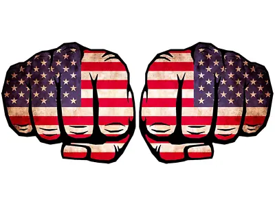 2-Pack Left / Right: 3 Inch Fist Punch USA Flag Sticker (patriotic America Mma) • $9