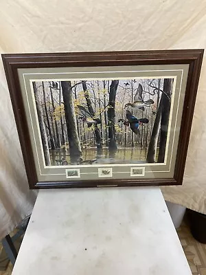 Through The  Trees By Maynard Reece Framed Wildlife Preservation Stamps 16x20 • $499.99