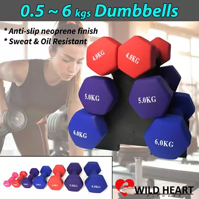 $16.95 • Buy Dumbbell Weights Set Anti-slip Exercise Fitness Home Gym Dumbells 