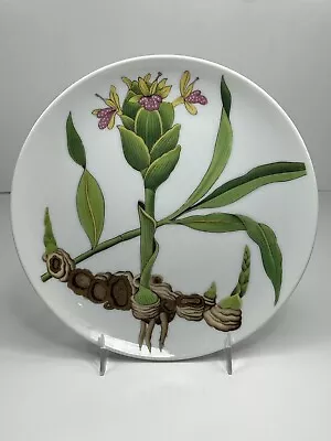 Horchow Botanical Herb Seed Salad Plate Ginger Replacement Made In Japan • $12.99