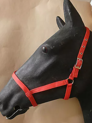 LIBBYS HORSE/PONY DRIVING UNDER HALTER - Plain One Colour • £15