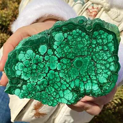 447G  Natural Green Malachite Crystal Block Polished Quartz Pattern Specimen • $0.99