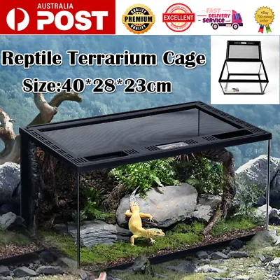 Reptile Terrarium Cage Enclosure Glass Lizard Snake Frog Spider Scorpion Insects • $90