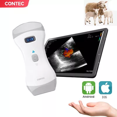 Digital Color Veterinary Handheld Ultrasound Machine Scanner Sheep Pig Dog Horse • £1958